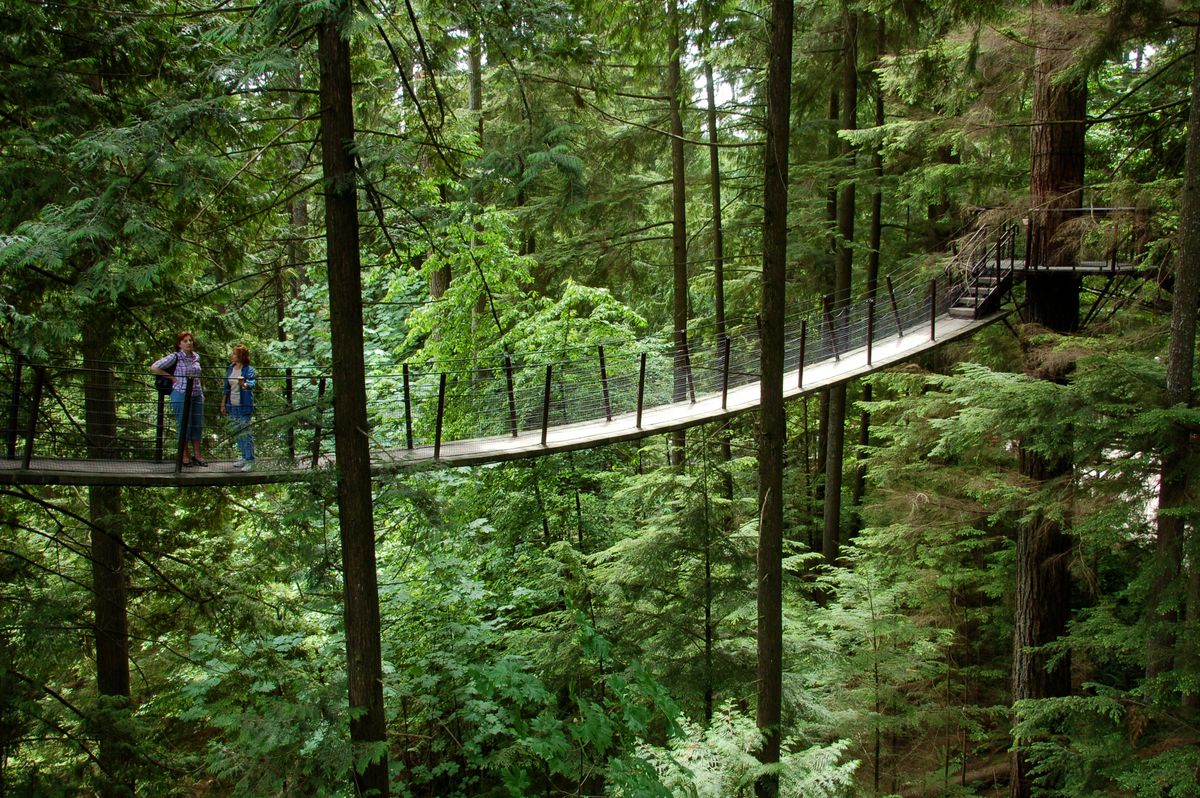 Capilano Suspension Bridge: Walking Amongst the Treetops in Vancouver