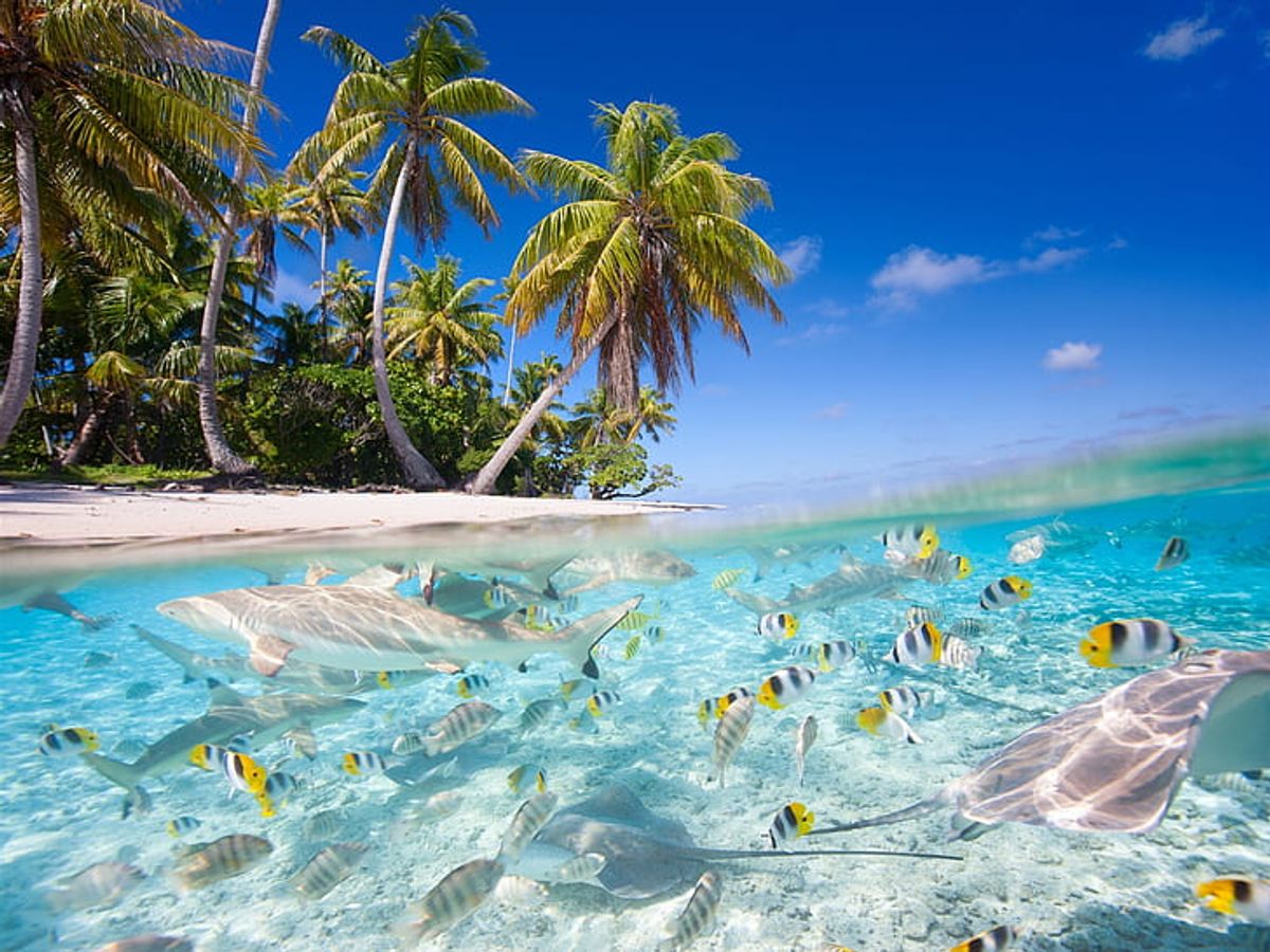 Top 10 places to travel in Fiji