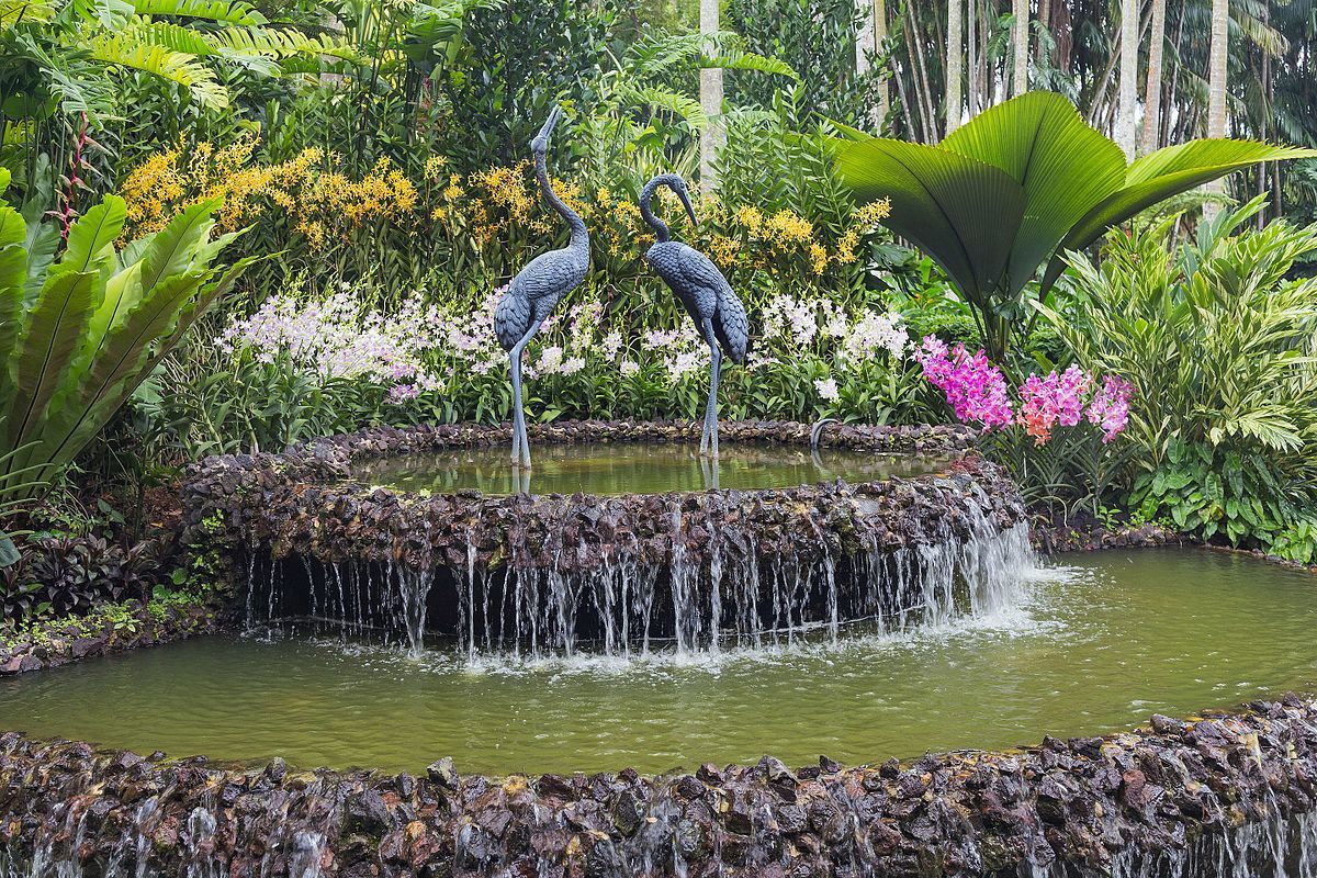 Explore National Orchid Garden , Singapore