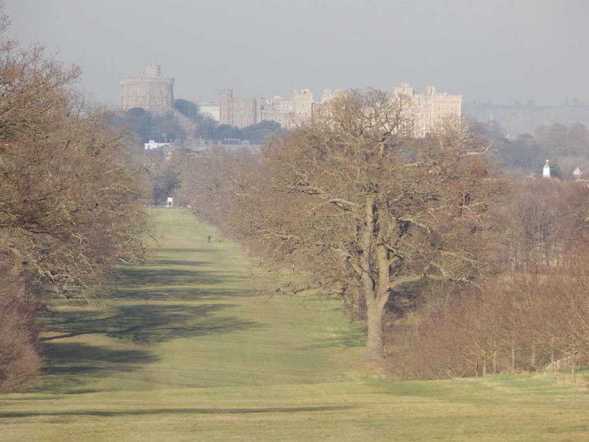 Discover the Majesty of Windsor Great Park: A Royal Retreat in the UK